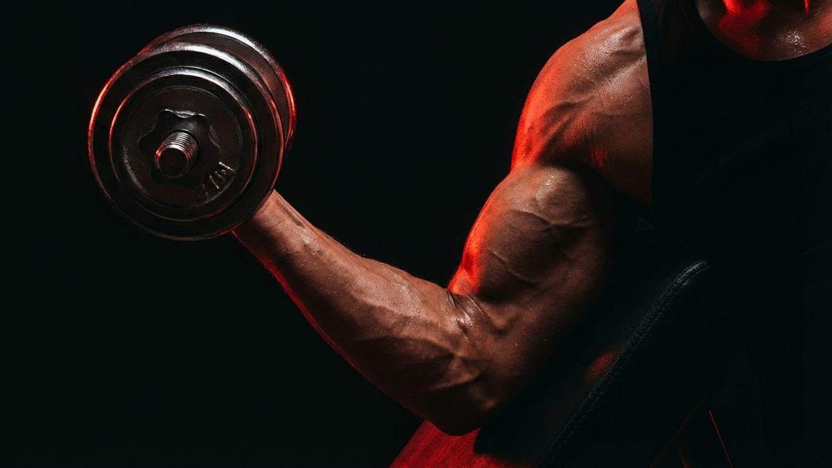 Dumbbell Incline Curl