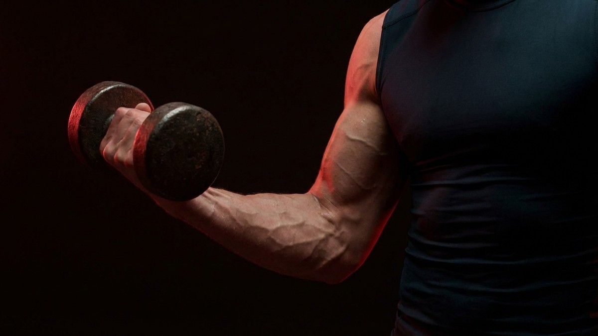 Hammer Curl: The Forgotten Arm Builder Your Biceps Need